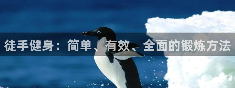 意昂4招商