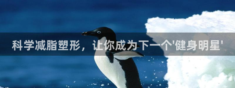 意昂4招商