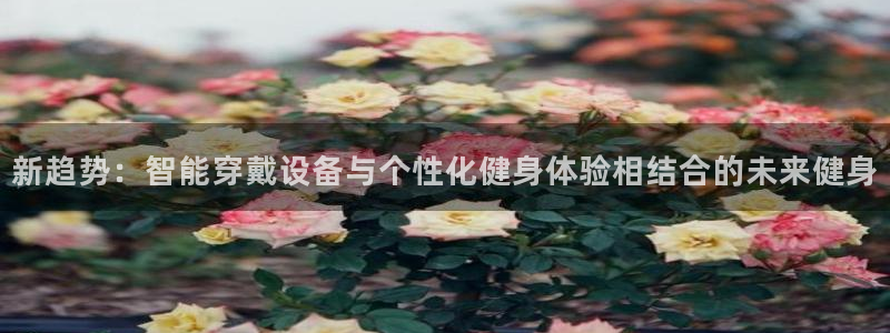意昂4注册