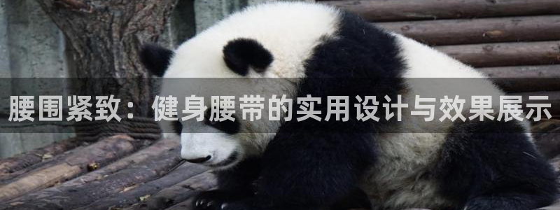 意昂4登录