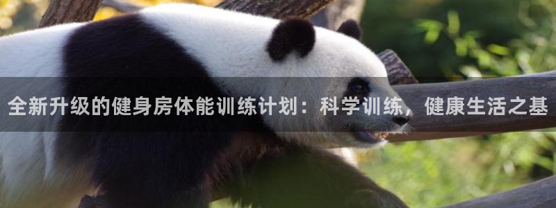 意昂4娱乐