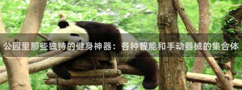 意昂4登录